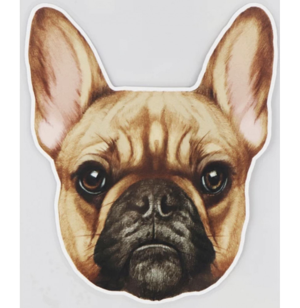 Autocollant du bouledogue Français beige ! S'adapte à toutes les surfaces lisses en intérieur et extérieur !